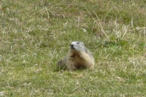 Xtrallusion photo library of independent, self-guided walking and sightseeing holidays in Italy. Pictures, images, photos and photographs taken along the way of this 1-day walking itinerary, to give you a visual impression of the day's walk.